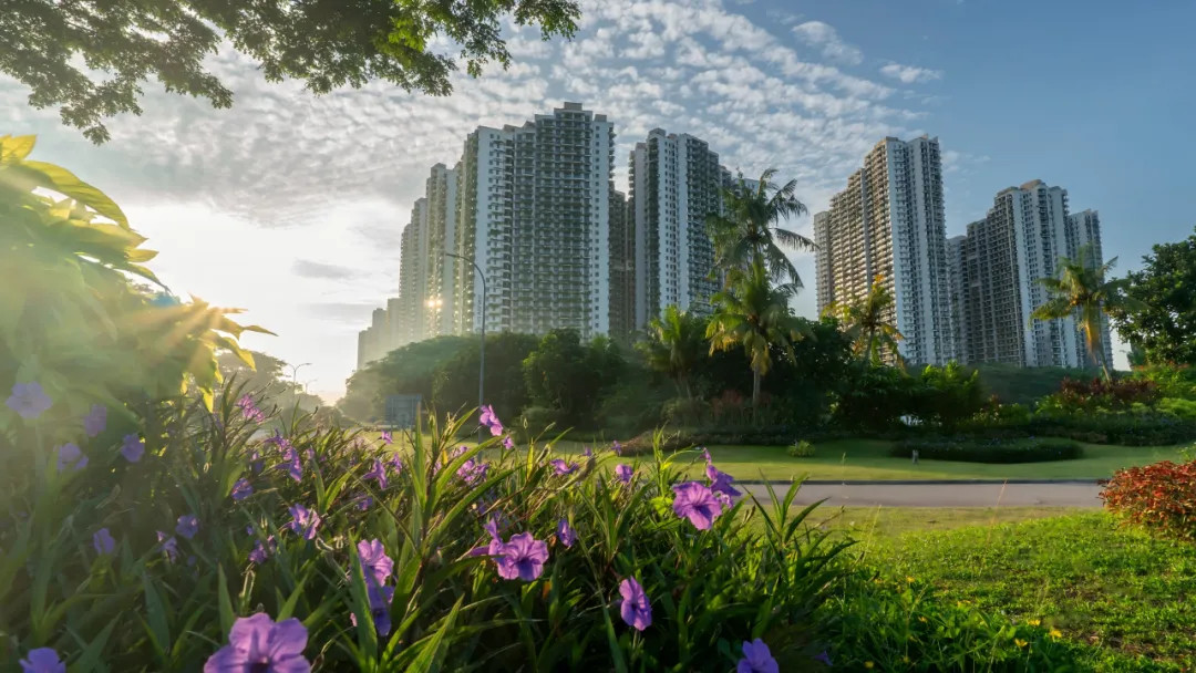 森林城市让爱与绿意同行