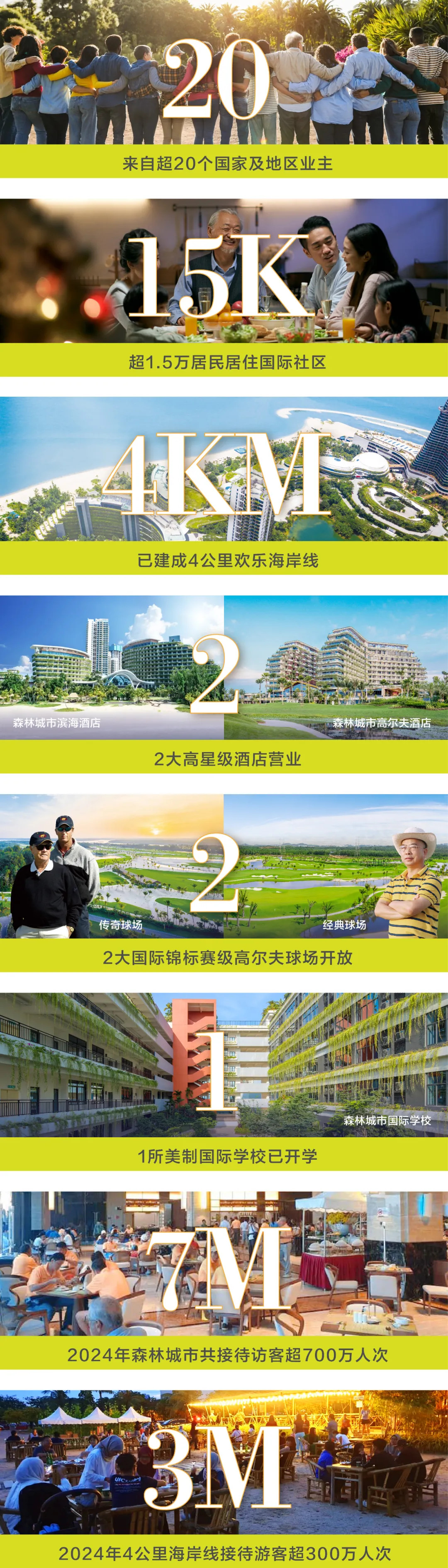 森林城市内部情况汇总