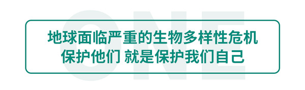 地球面临严重的生物多样性危机