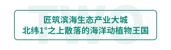 匠筑滨海生态产业大城，北纬1°之.上散落的海洋动植物王国