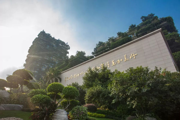 碧桂园总部实景