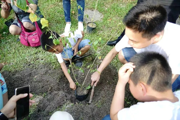 孩子和父母在森林城市植树