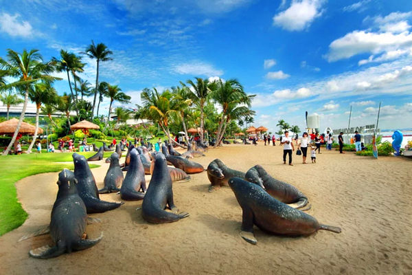 碧桂园森林城市沙滩上的海象和人群