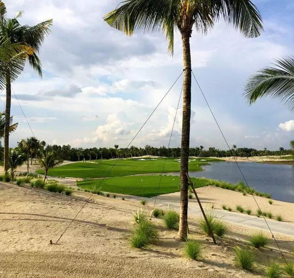 高尔夫球场边的热带风景