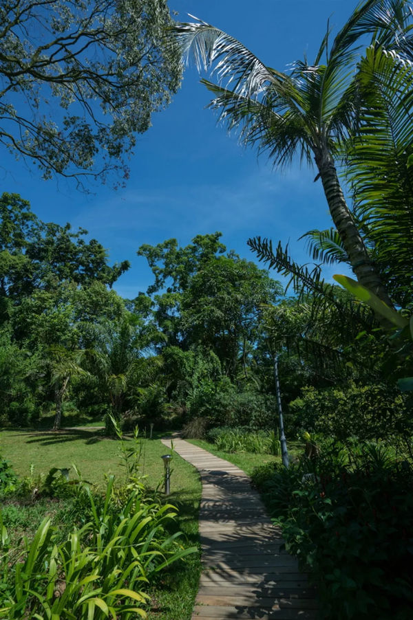 湿地公园周边的自然风景