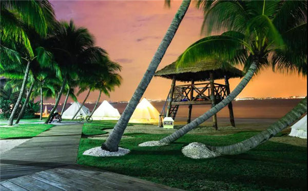 晚霞和椰林辉映的沙滩公园