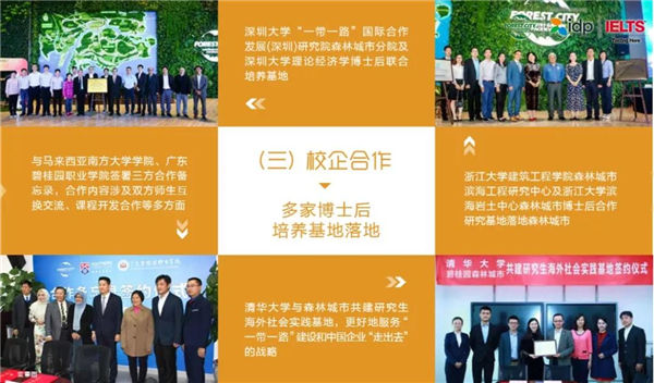 与嘉德圣玛丽森林城市国际学校的合作方