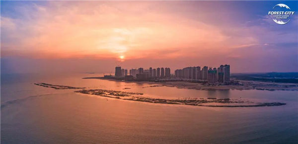 森林城市最新实景(二)